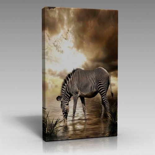 Zebra Tablo