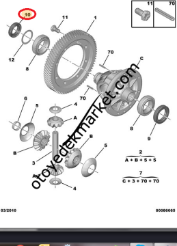 Citroen C4 (2004-2021)  Prizdirek Borulu Keçe (İthal)