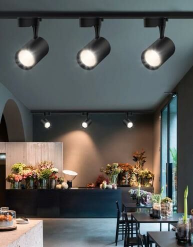Ledli Ray Spot Siyah Kasa 30 Watt Günışığı 3000K