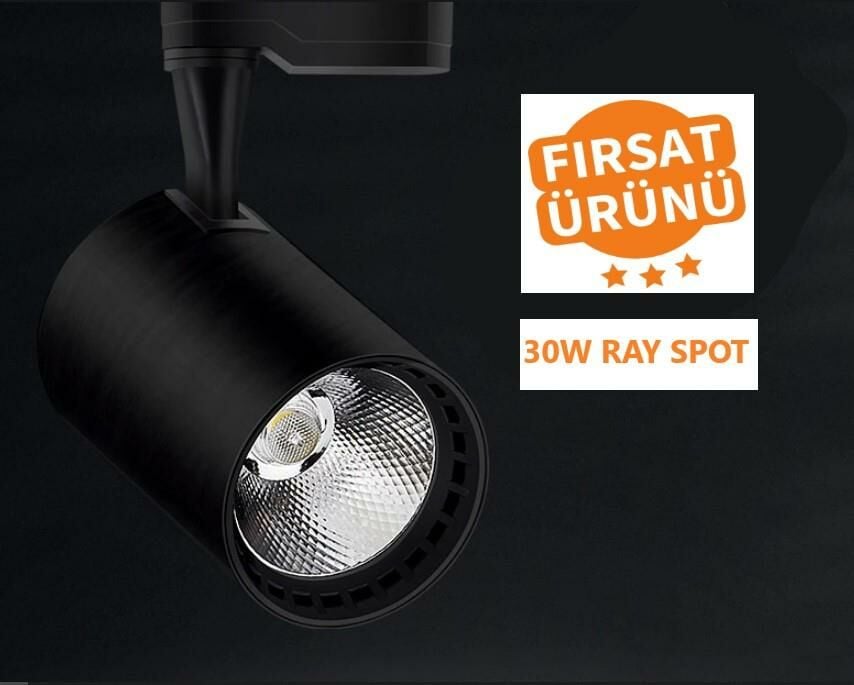 Ledli Ray Spot Siyah Kasa 30 Watt Günışığı 3000K