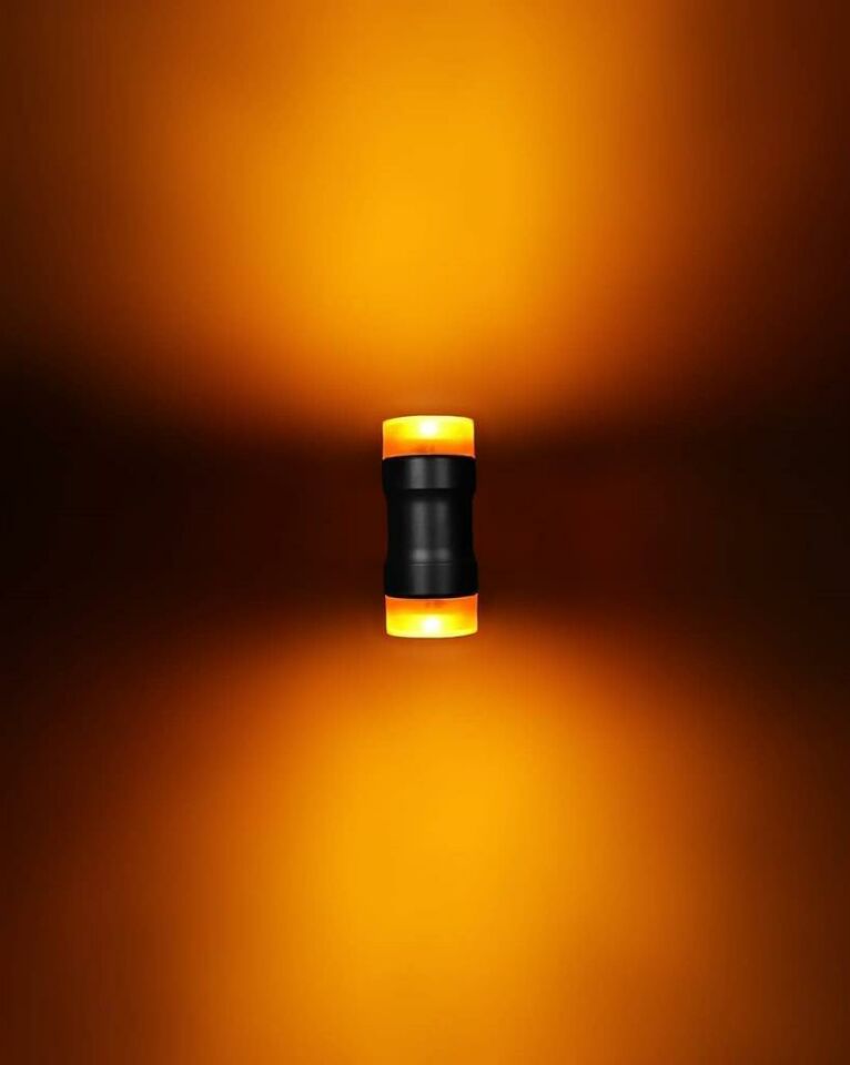 ZİTA BAHÇE DUVAR APLİK ÇİFT YÖN AYDINLATMA ÇİÇEK APLİK + 2 AMPUL