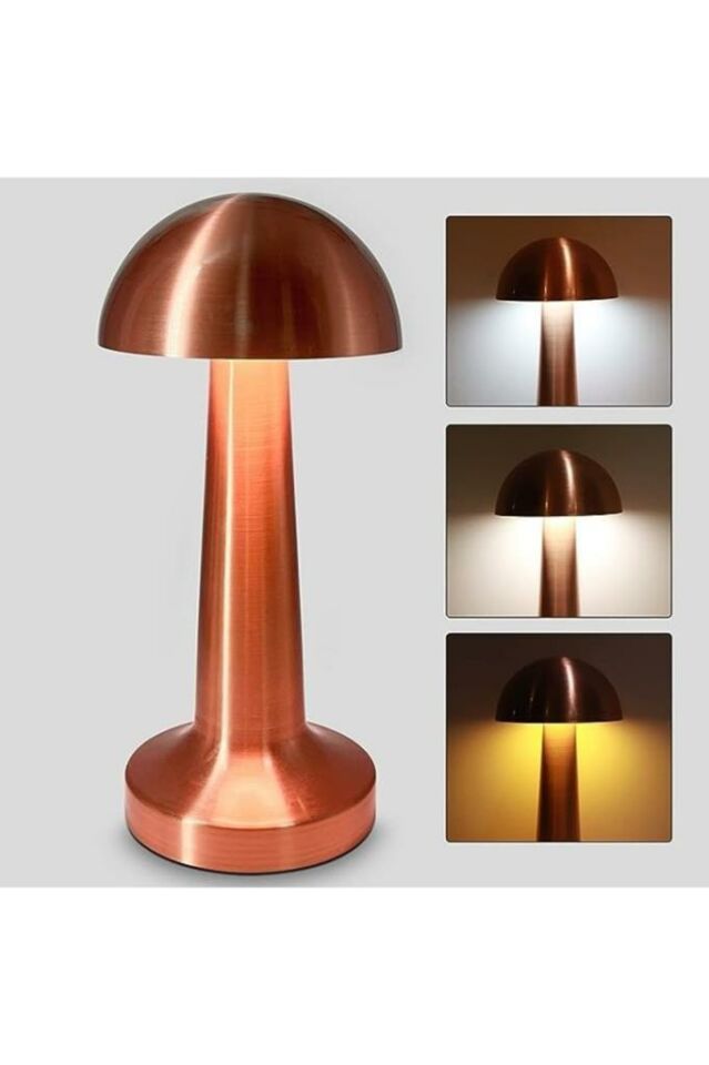 Dekoratif Masa Lambası Dimmerli Şarjlı Cata Lizbon Bronz Cafe Restoran Masa Lambası 3 Renk Işık Modu