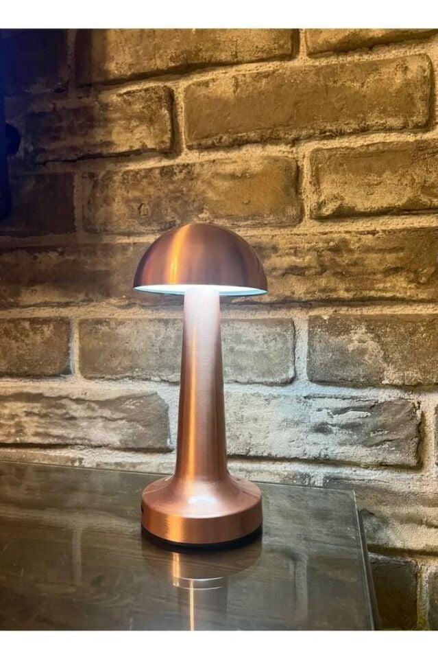 Dekoratif Masa Lambası Dimmerli Şarjlı Cata Lizbon Bronz Cafe Restoran Masa Lambası 3 Renk Işık Modu