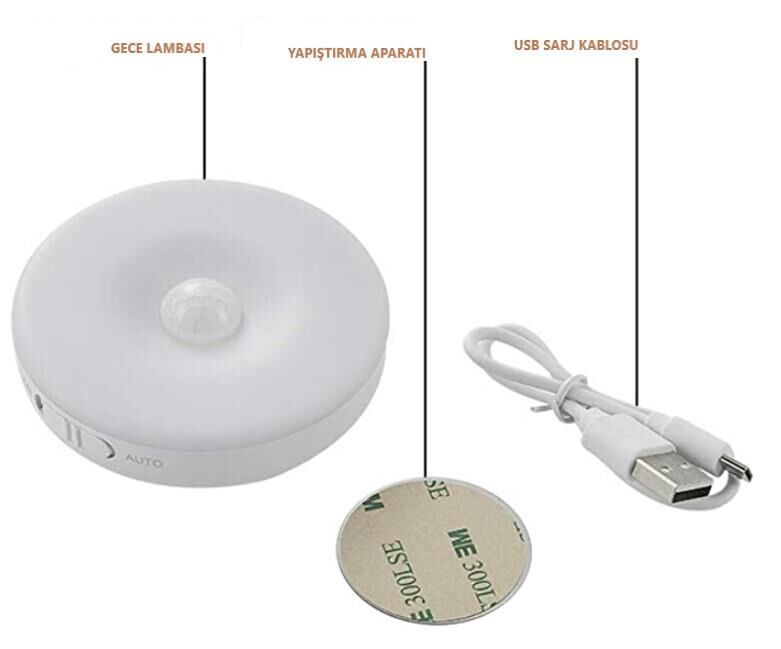 Cata Hareket sensörlü gece lambası, duvar lambası, dolap lambası, USB şarj edilebilir LED ışık, akıllı sensör ışığı, pil ile çalışan ışık, dolap, yatak odası, dolap, koridor vb. için (Gün Işığı 4000k, 6 adet)