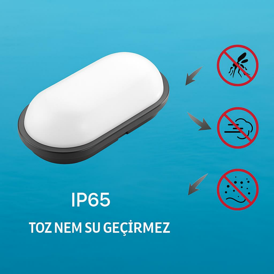 Horoz Aydos 20W Oval Siyah LED Tavan ve Duvar Lambası | 6500K Beyaz Işık | IP65 Su ve Toz Geçirmez Banyo, Bahçe, Garaj Aydınlatma Armatürü