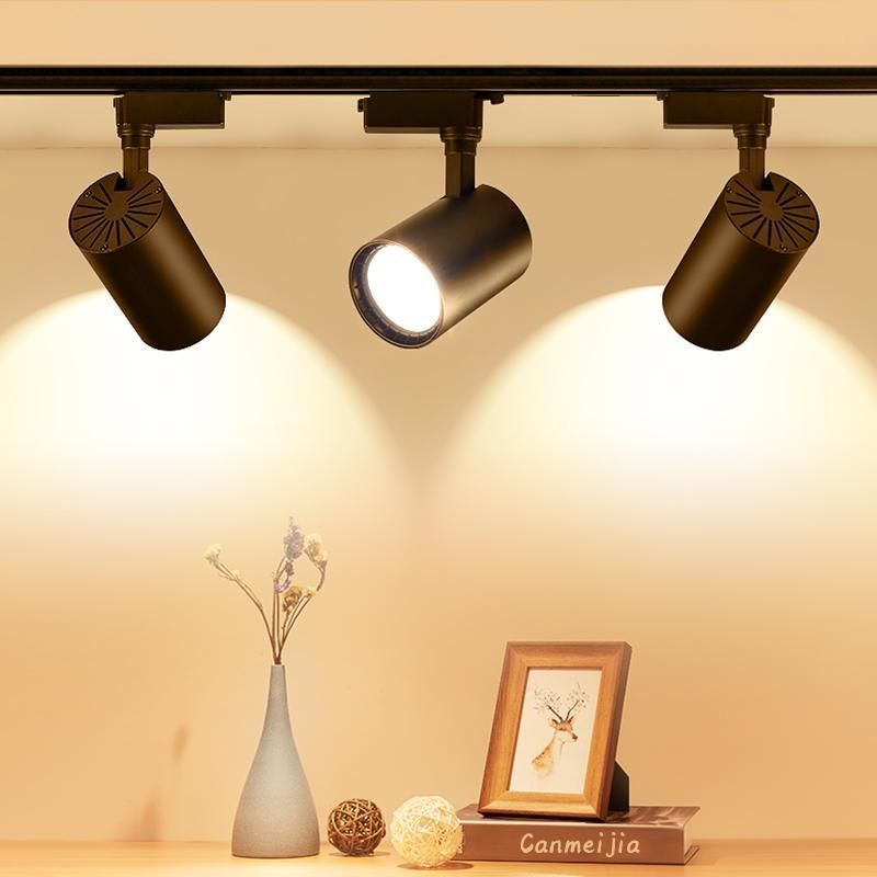 Ledli Ray Spot Siyah Kasa 30 Watt Beyaz Işık (6500K)