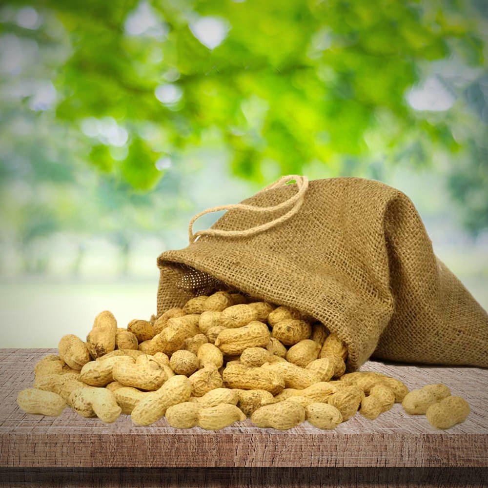 Haşlamalık Yer Fıstığı 5 Kg