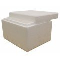 1 kg Strafor Kutusu