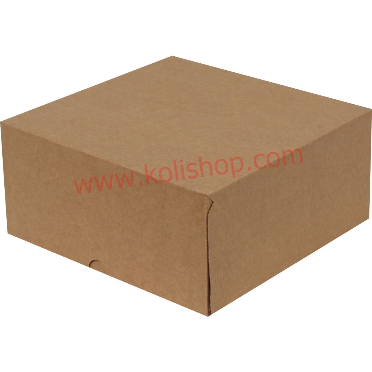 Kilitli Kutu 24.5x24.5x11.5 cm