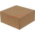 Kilitli Kutu 24.5x24.5x11.5 cm