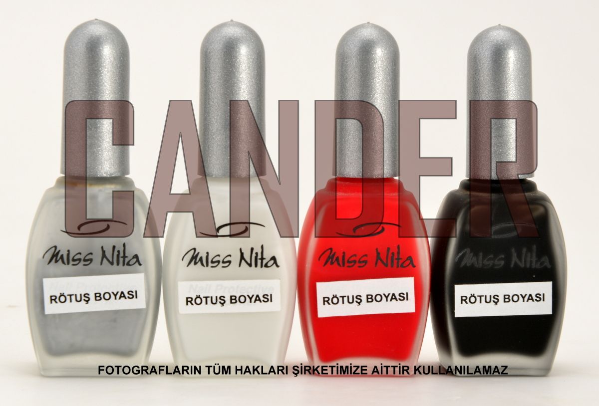 Fırçalı Rötüş Boyası