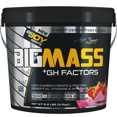 Bigjoy BIGMASS Gainer GH FACTORS ÇİLEK 3kg