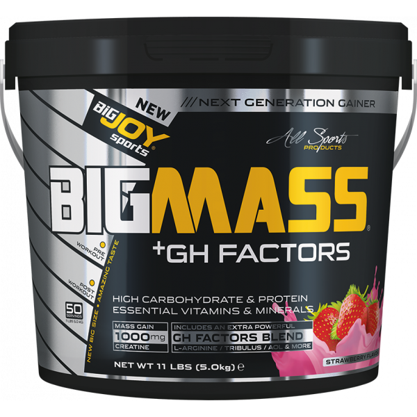 Bigjoy BIGMASS Gainer GH FACTORS ÇİLEK  5kg