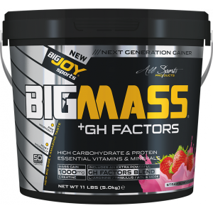 Bigjoy BIGMASS Gainer GH FACTORS ÇİLEK  5kg