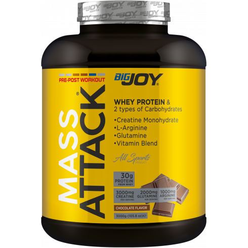 Bigjoy Sports Mass Attack 3000gr