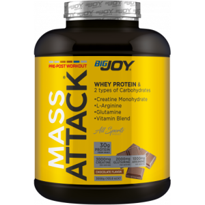 Bigjoy Sports Mass Attack 3000gr