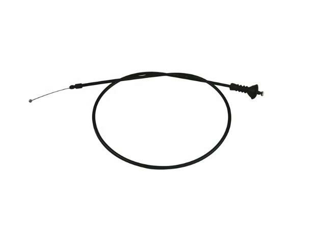 Kaput Teli F10 Arka