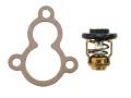 18-3624 YAMAHA TERMOSTAT