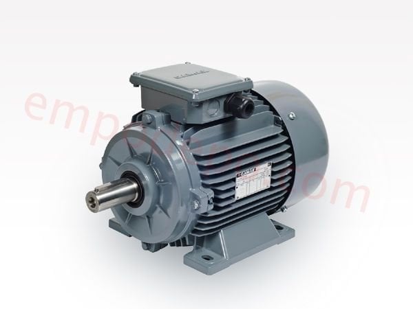 18.5 kW (25 Hp) 1000 d/d IE3 Trifaze Elektrik Motoru