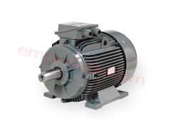 45 kW (60 Hp) 1500 d/d IE3 Trifaze Elektrik Motoru