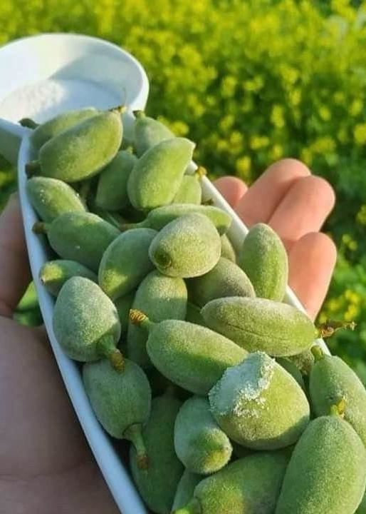 Datça Çağla Badem 500 Gr