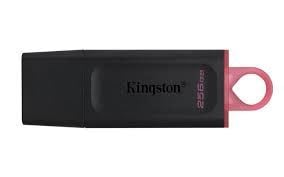 Kingston 256GB USB3.2 Gen1 DataTraveler Exodia ( Pink)