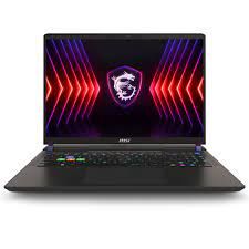 MSI NB VECTOR 17 HX A14VFG-228TR I9-14900HX 32GB DDR5 RTX4060 GDDR6 8GB 1TB SSD 17.0 QHD+ 240Hz W11
