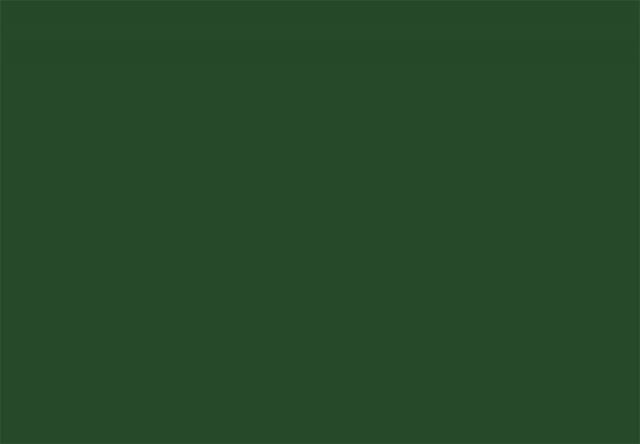 CRICUT 2005144 PREMIUM VİNİL GEÇİCİ 30.5X122CM ORMAN YEŞİLİ