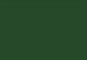 CRICUT 2005144 PREMIUM VİNİL GEÇİCİ 30.5X122CM ORMAN YEŞİLİ