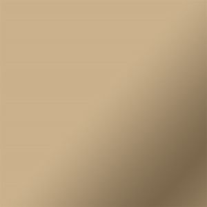 CRICUT 2008658 SMART VİNİL KALICI 33X366CM 1 SAYFA MAT ŞAMPANYA