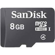 Micro SDHC Card 8 Gb.