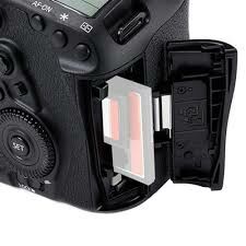 CANON EOS 5D MK IV(WG) EF24-105 L IS