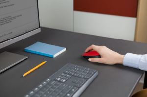 LOGITECH M171 USB ALICILI KABLOSUZ KOMPAKT MOUSE-KIRMIZI 910-004641