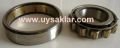 N 310 ZKL BİLYA  (V.A. MAHRUTİ DİP) 50x110x27
