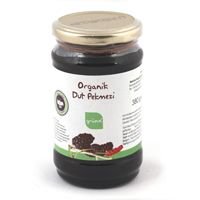 ORGANİK DUT PEKMEZİ