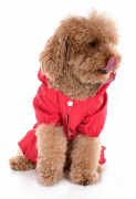 Küçük ve Orta Irk Köpek Paçalı Yağmurluk - Jorma Kırmızı