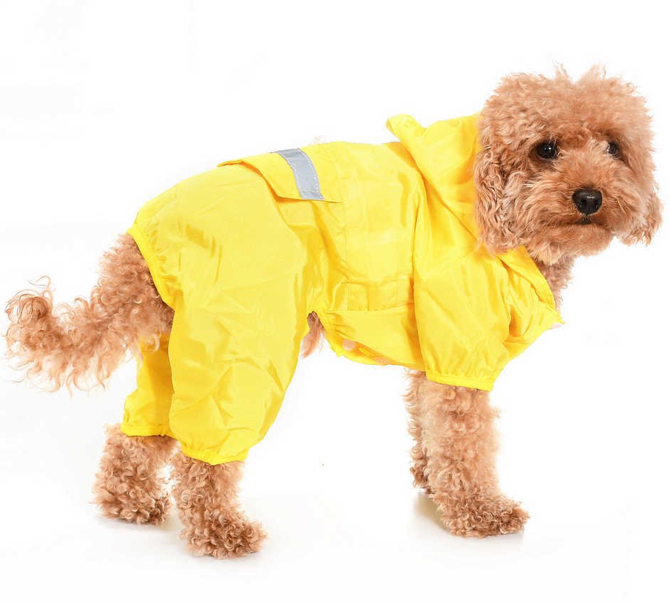 Küçük ve Orta Irk Köpek Paçalı Yağmurluk - Jorma Sarı