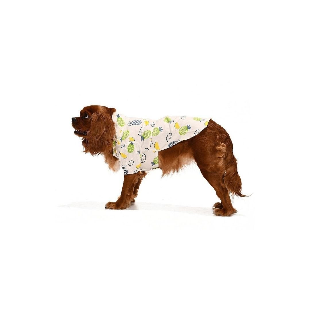 Küçük ve Orta Irk Köpek Gömlek Noora - Köpek Kıyafeti
