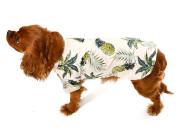 Küçük ve Orta Irk Köpek Gömlek Maija - Köpek Kıyafeti