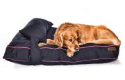 Köpek Yatağı ve Yastık Takımı - Baiji Large