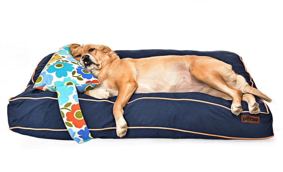 Köpek Yatağı ve Yastık Takımı - Nyota Large