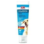 Pet Active VitaliDog L-Carnitine ve Biotinli Köpek Pastası 100 Ml