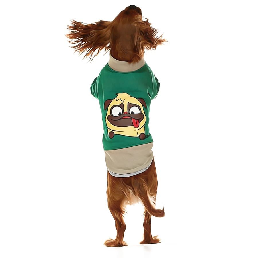 Küçük ve Orta Irk Köpek Sweatshirt - Ingo Yeşil - Köpek Kıyafeti