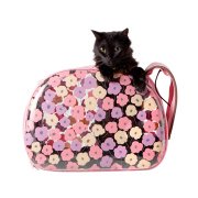 ibiyaya flowers katlanabilir şeffaf kedi ve köpek taşıma çantası