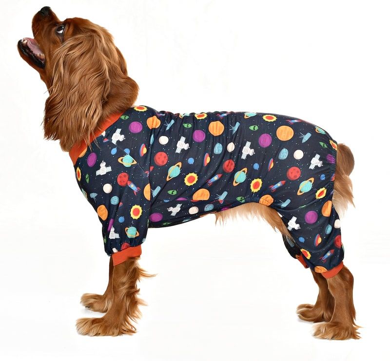 Küçük ve Orta Irk Köpek Pijama Tulum - Vanya - Köpek Kıyafeti