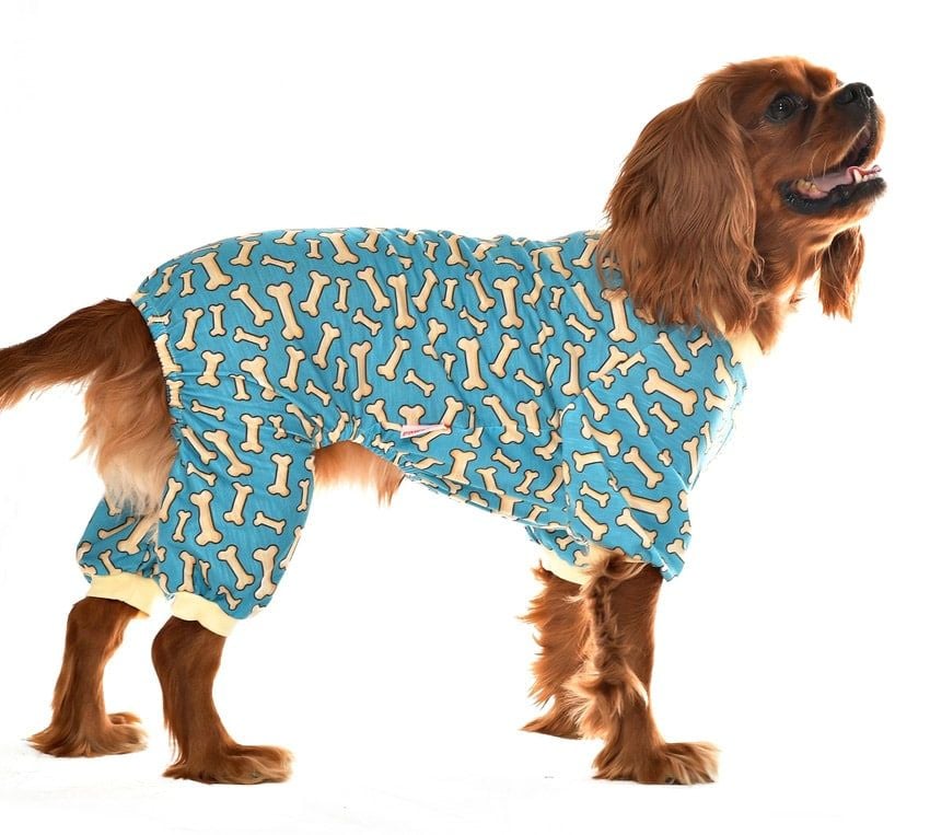 Küçük ve Orta Irk Köpek Pijama Tulum - Bones - Köpek Kıyafeti