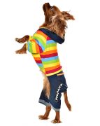 Köpek Tulumu - Rowan - Köpek Kıyafeti