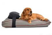 Köpek Yatağı ve Yastık Takımı - Rowan Large