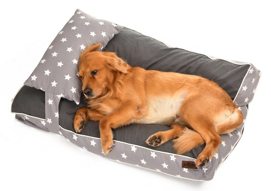 Köpek Yatağı ve Yastık Takımı - Tonks Large