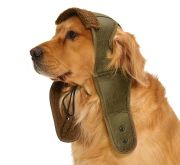 Küçük Orta ve Büyük Irk Köpek Şapka Pilot Yeşil